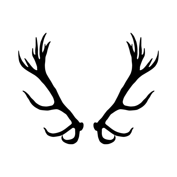 Оленьи рога на прозрачном фоне