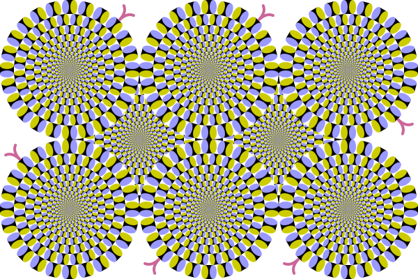 Бриджит Райли