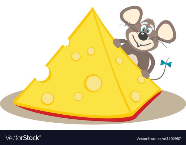 Кусочек сыра для мышки