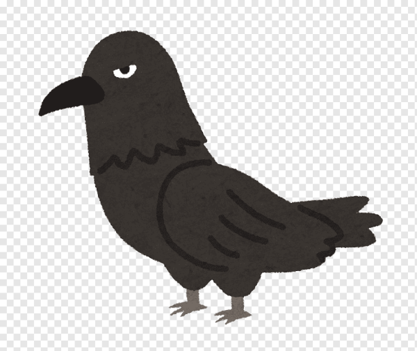 Ворона раскраска для детей