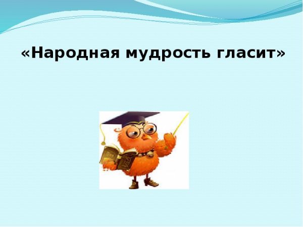 Народная мудрость гласит