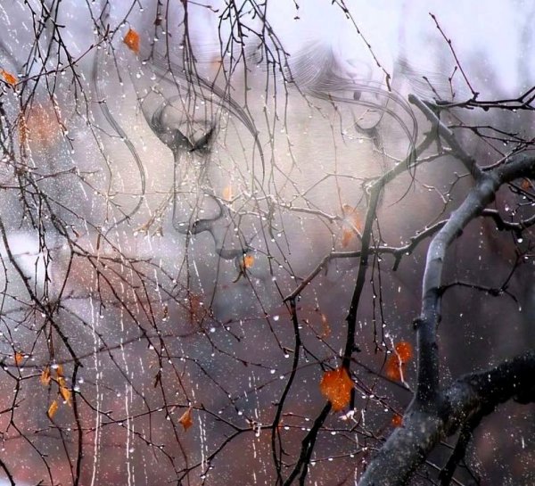 Осенняя грусть