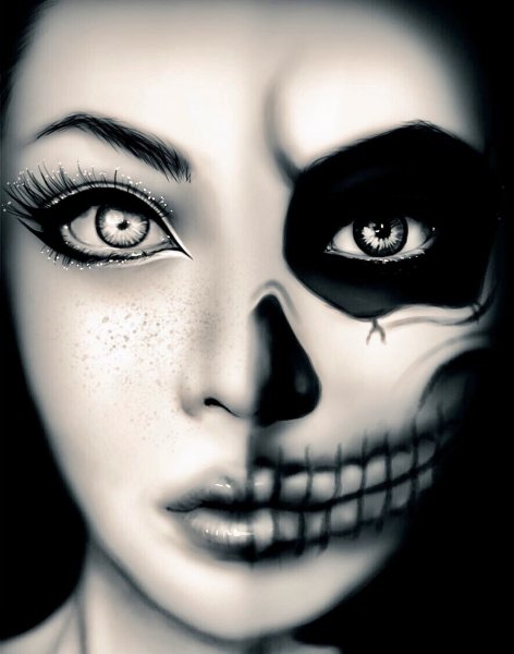 Скелет головы для рисования