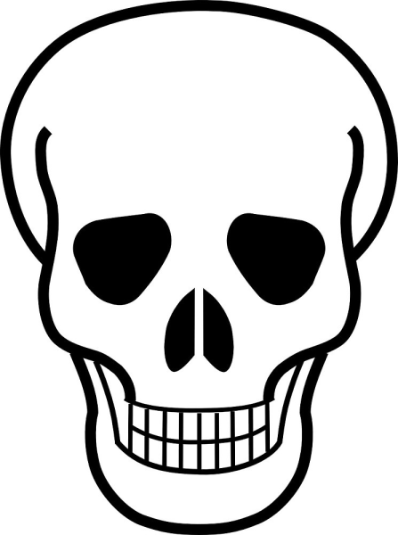 Череп рисунок