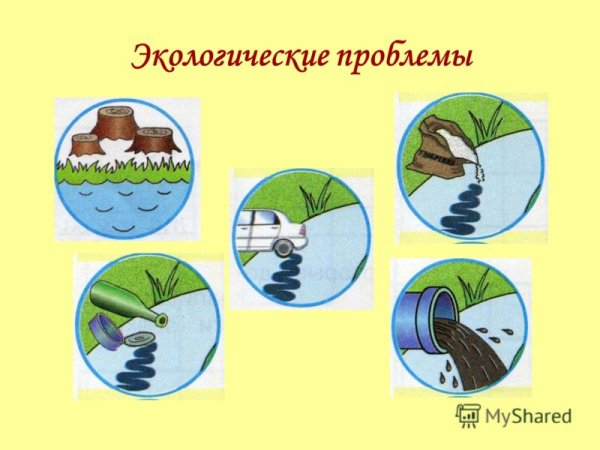 Экологические знаки охраны воды