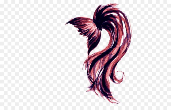 Хвостик на прозрачном фоне