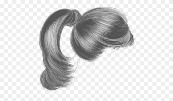 Хвост волосы на белом фоне