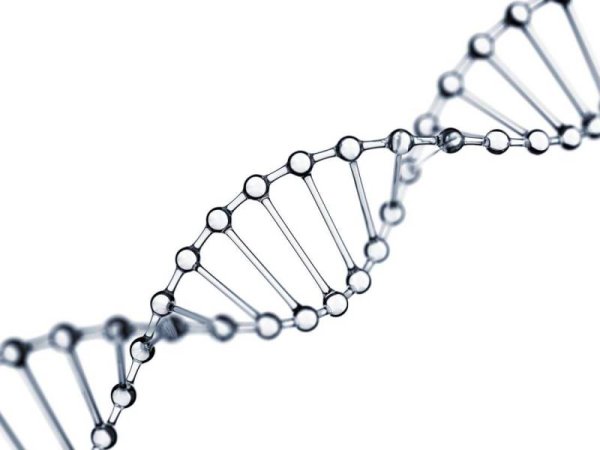 ДНК на белом фоне