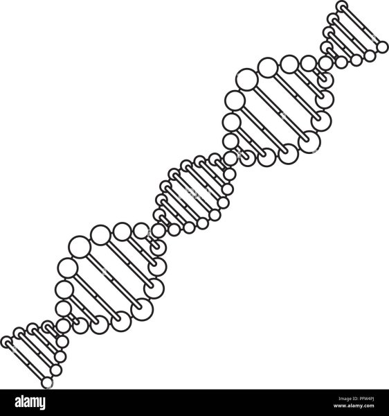Цепочка ДНК картинки