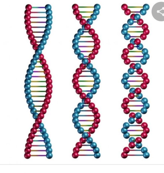 Решетка ДНК