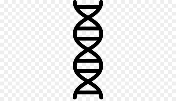 Спираль ДНК вектор