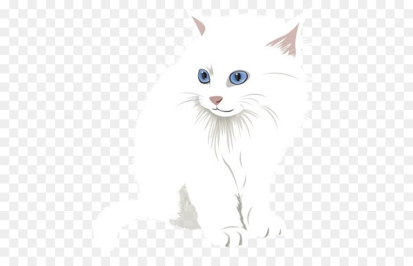 Белая кошка на прозрачном фоне