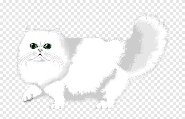 Кот пушистый белый