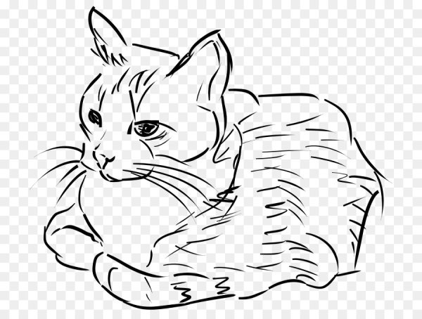 Кошка картинка рисунок