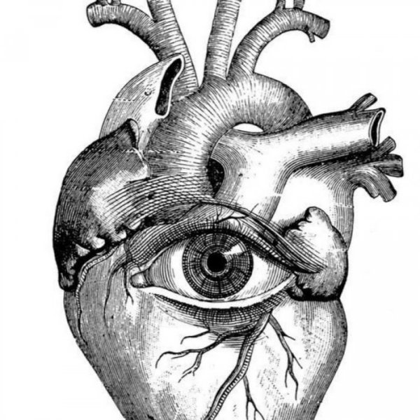 Психокинетический рисунок н. Истомина