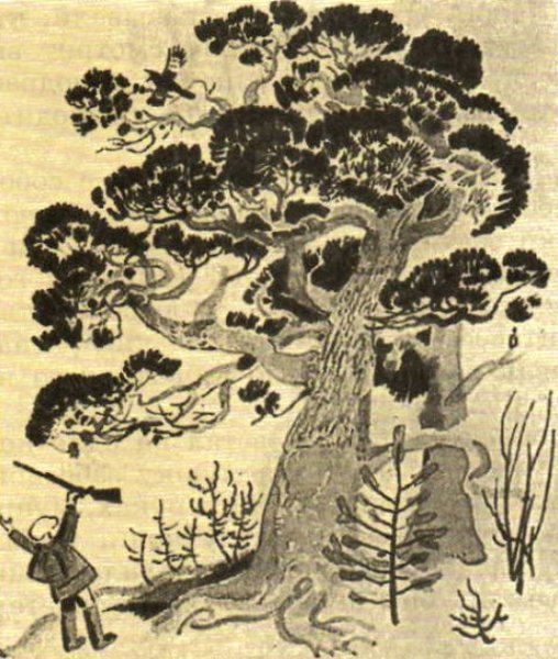 Иллюстрация к рассказу Васюткино озеро