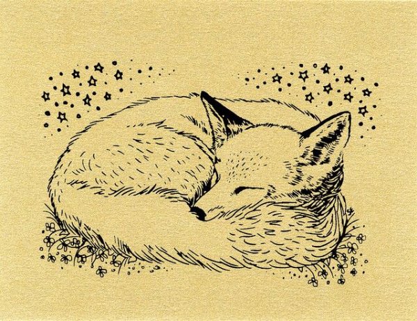 Лисенок спит рисунок
