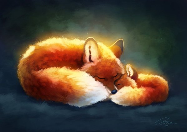 Лисичка спит