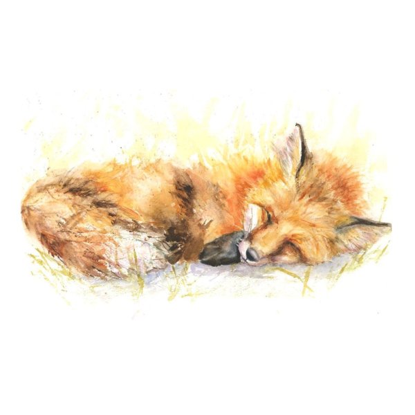 Лиса спит акварель