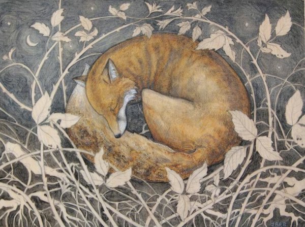 Лиса спит в цветах