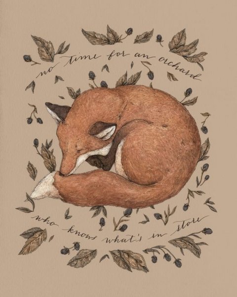 Лиса спит арт