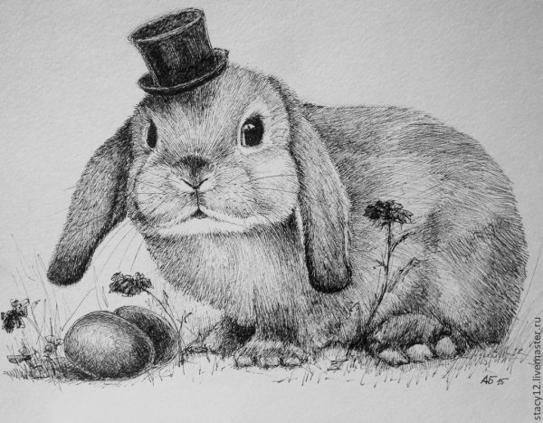 Заяц в графике