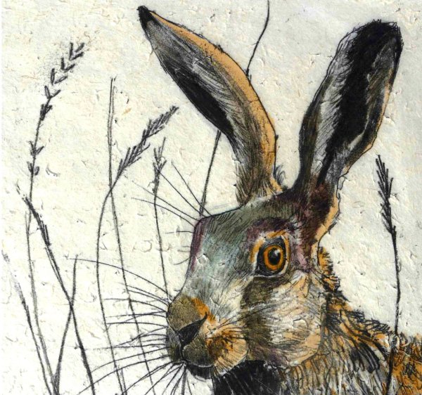 Заяц Графика