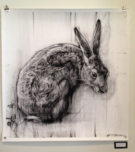 Кролик Графика