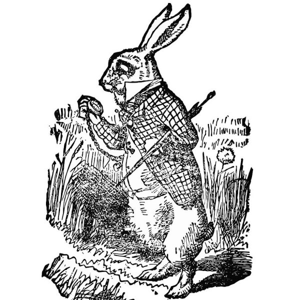 Кролик Графика