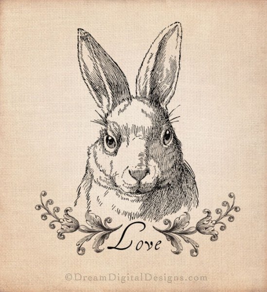 Заяц Винтаж