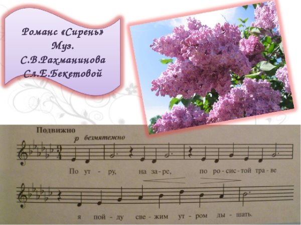 Романс сирень