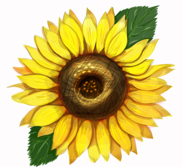 Подсолнух мультяшный