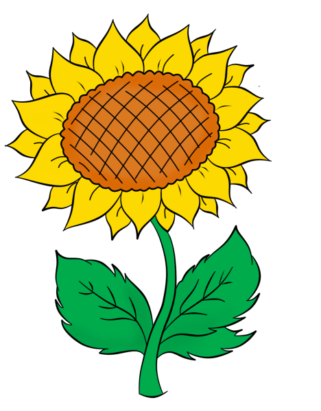 Подсолнух для детей