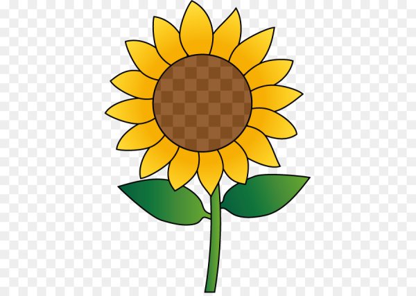 Подсолнух для детей