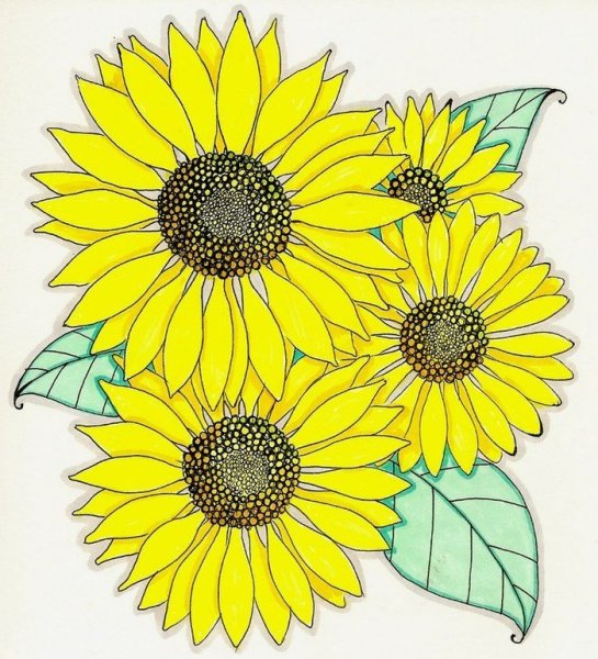 Трафарет подсолнуха цветной