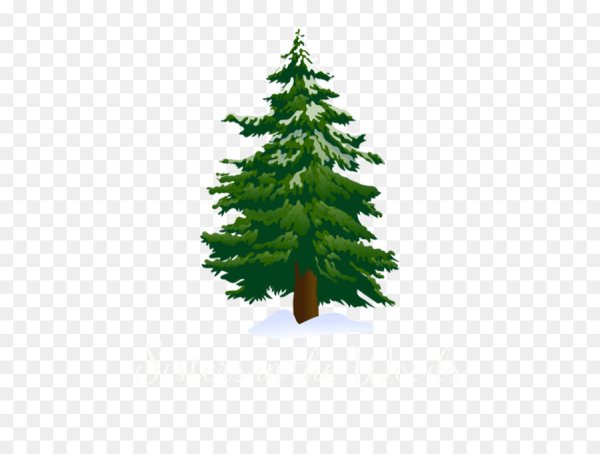 Ель рисунок