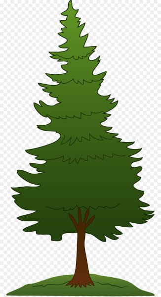 Деревья елка для малышей