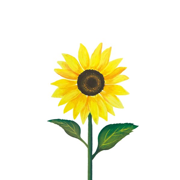 Нарисовать подсолнух