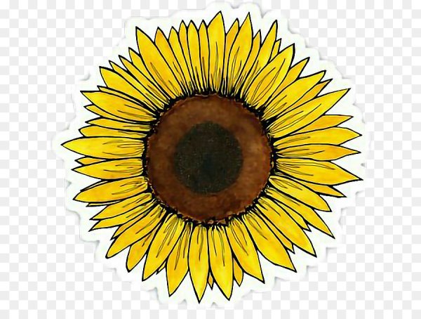 Подсолнух стикер