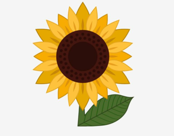 Подсолнухи узор