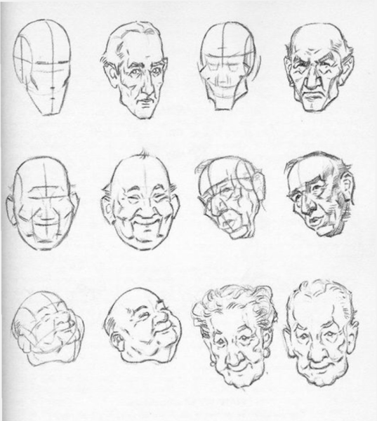 Референсы головы Эндрю Лумис