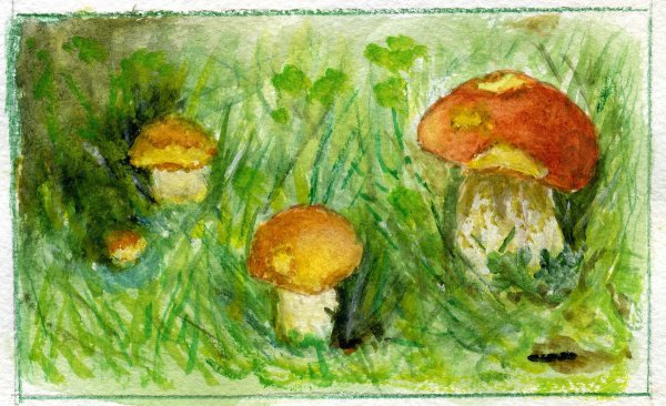 Рисование грибная Поляна