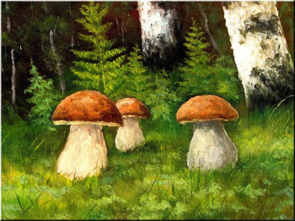 Рисование грибная Поляна подготовительная группа