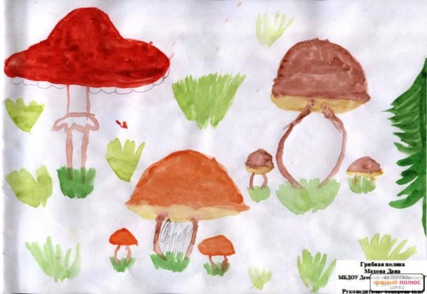 Грибы в лесу для детей