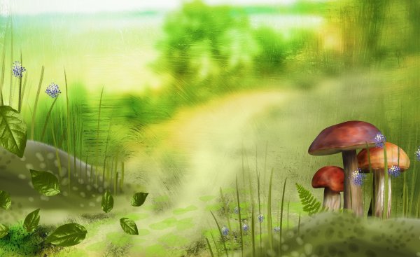 Екатерина Бородачева иллюстрации