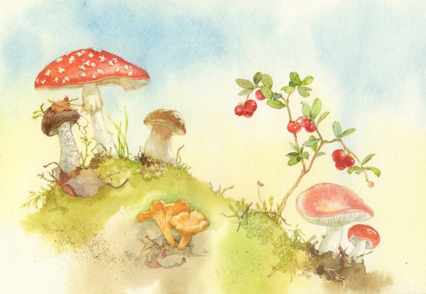 Сказочная Поляна с грибами