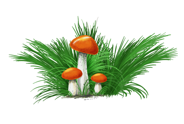 Рисование грибная Поляна подготовительная группа Колдина