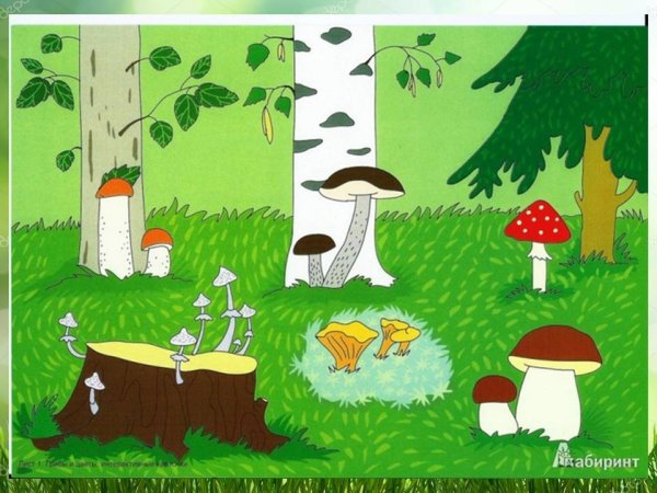 Шишкин мухоморы картина