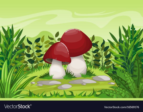 Грибная Полянка для детей