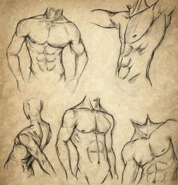 Эстетика тела карандашом